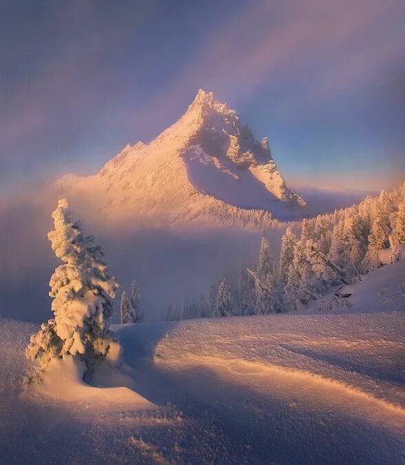 Adventure Is Waiting on Instagram: "Beautiful Austria. Photo © @zeppaio #adventu