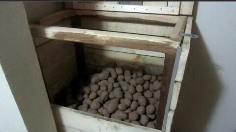 Как хранить овощи на балконе зимой