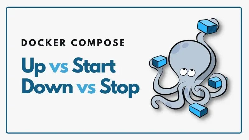 Docker compose up. Docker compose up