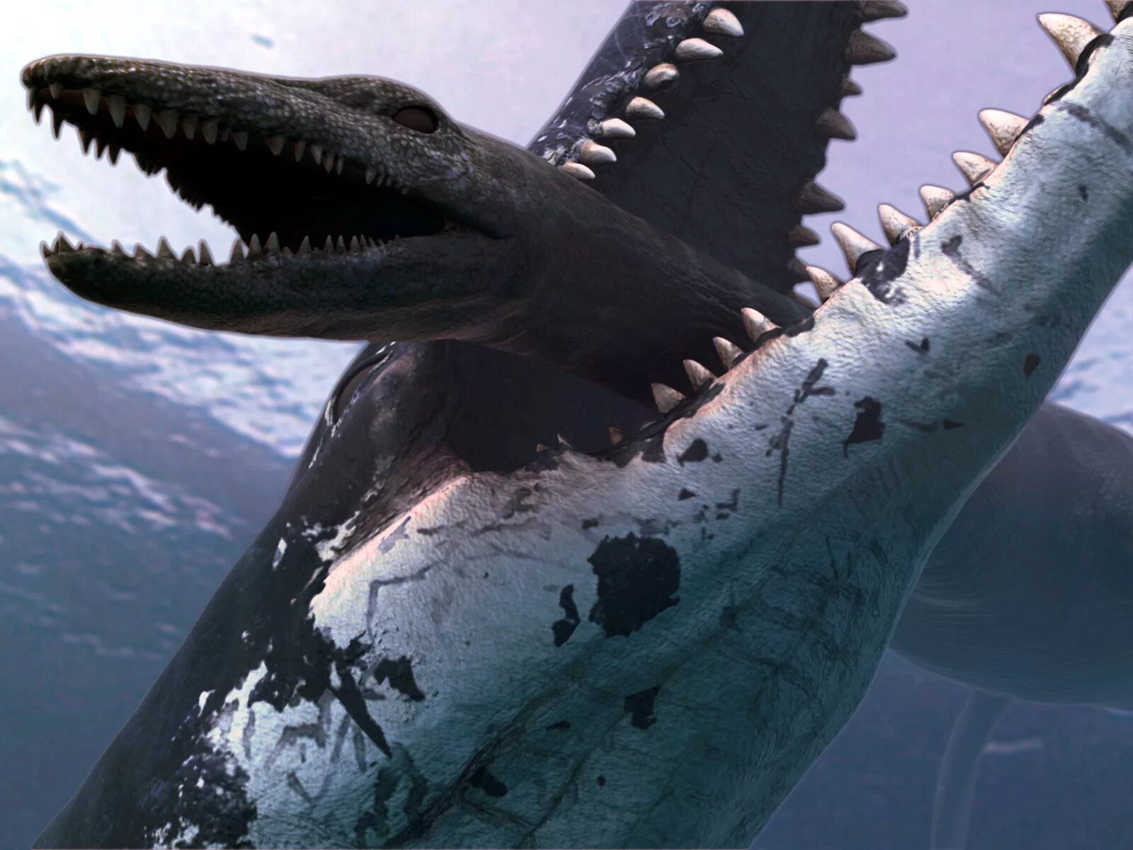 Крупнейший хищник на земле. Лиоплевродон и Мозазавр. Кронозавр. МЕГАЛОДОН 2002. Хищник Икс Плиозавр.