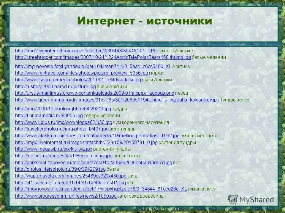 Тест по теме природные зоны 1 вариант. Вопросы на тему природные зоны России. Вопросы на тему природные зоны леса. Вопросы о природных зонах России с ответами.