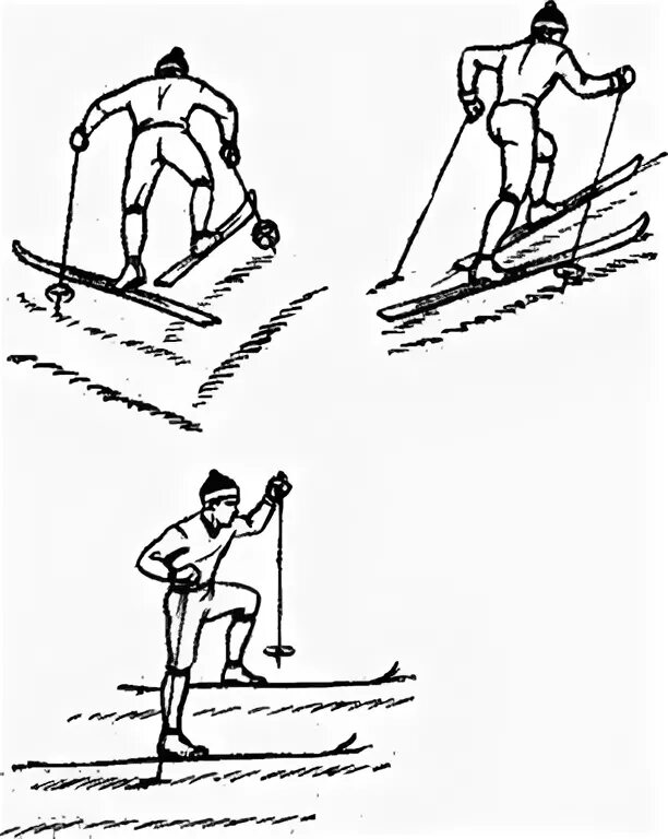 Подъемы елочкой полуелочкой лесенкой. Техника подъема лесенкой на лыжах. Спуски и подъемы на лыжах. Способы подъема в гору на лыжах. Способ подъема елочка