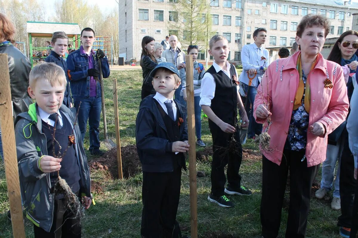 65 школа киров нововятск