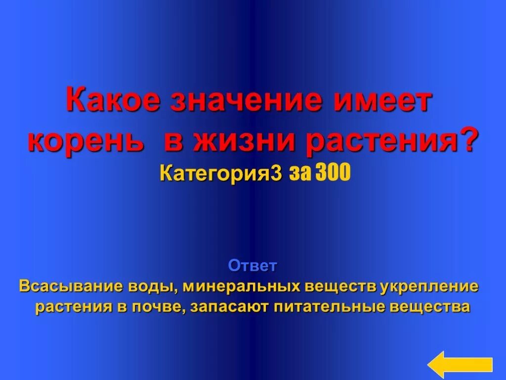 Какое значения корня. Какое значение имеет корень. Какое значение для растения имеет корень. Какое значение имеет корень в жизни растения. Значение корня в жизни растения.