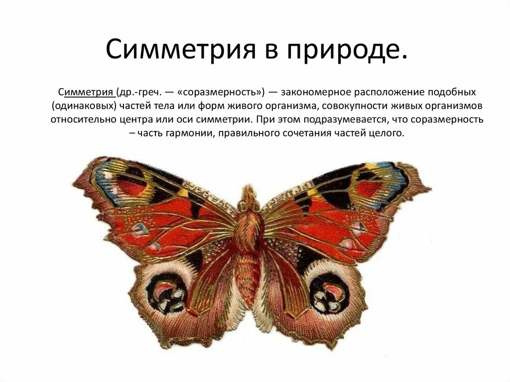 Сообщение симметричные