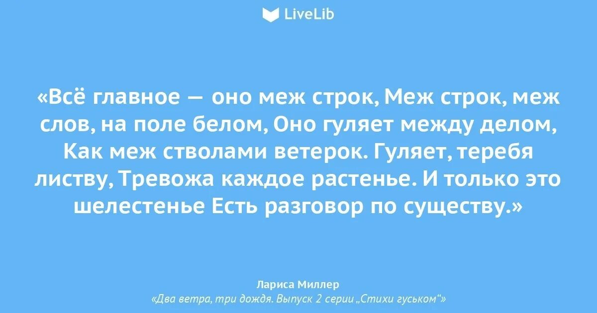 Марафоны три дождя текст