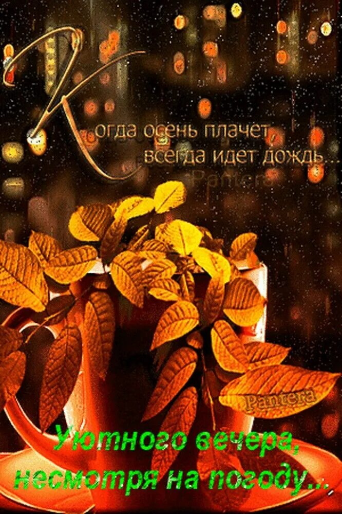 Опять за окном продолжается осень (Светлана Борщ) / Проза.ру