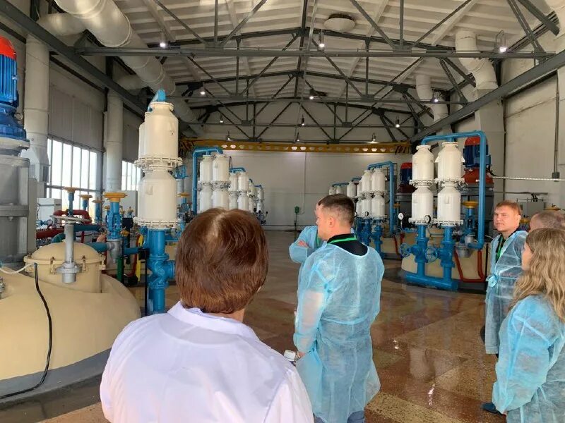 12 коров. крс 2023. звезды подмосковья коровы. белагро 2023. крс 2023.