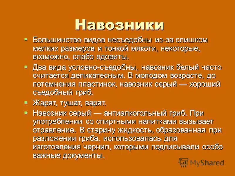 Грибы обж 8 класс