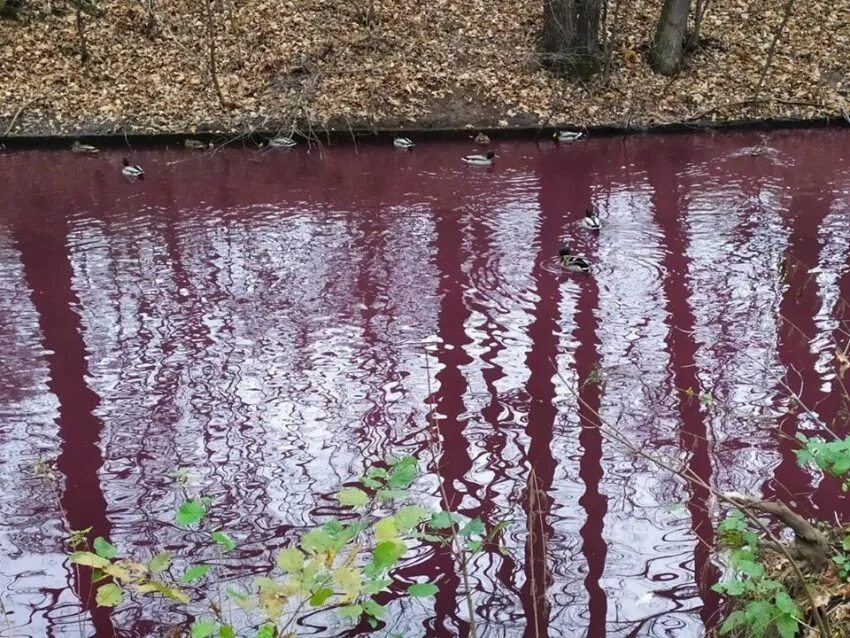 Багровые реки Далдыкан. Красный водоем. Вода в пруду. Вода красного цвета в водоеме.