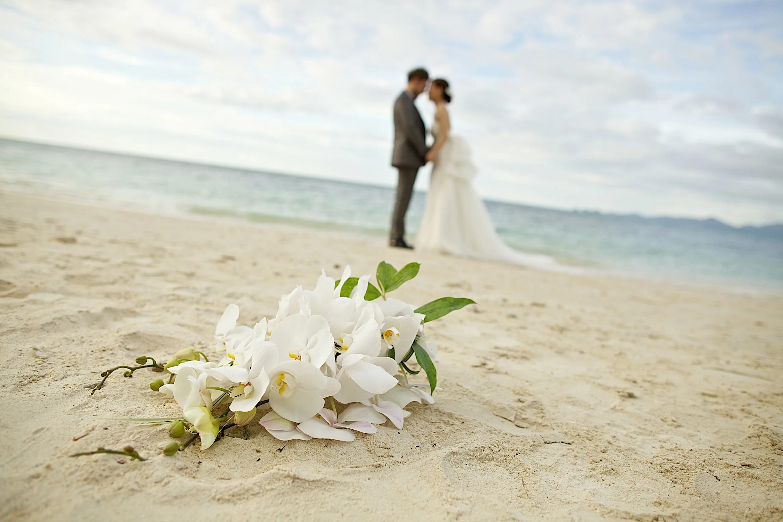Свадьба на пляже. Свадьба на берегу моря. Красивая свадьба на берегу моря. Молодожены на фоне моря.