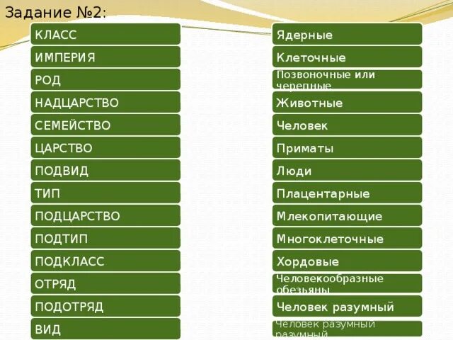 Тип подтип класс отряд семейство. Царство тип подтип класс. царство тип класс род. царство подцарство тип вид. отряд род вид класс.