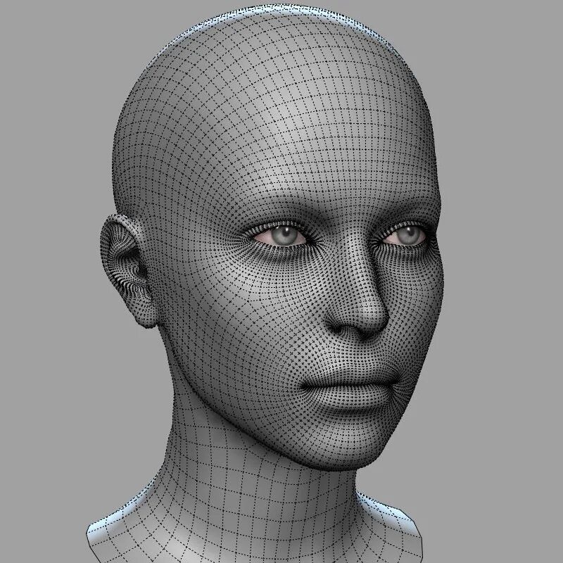 Mesh объекта. Mesh модель. 3d mesh head. меш лица. mesh 3d model.