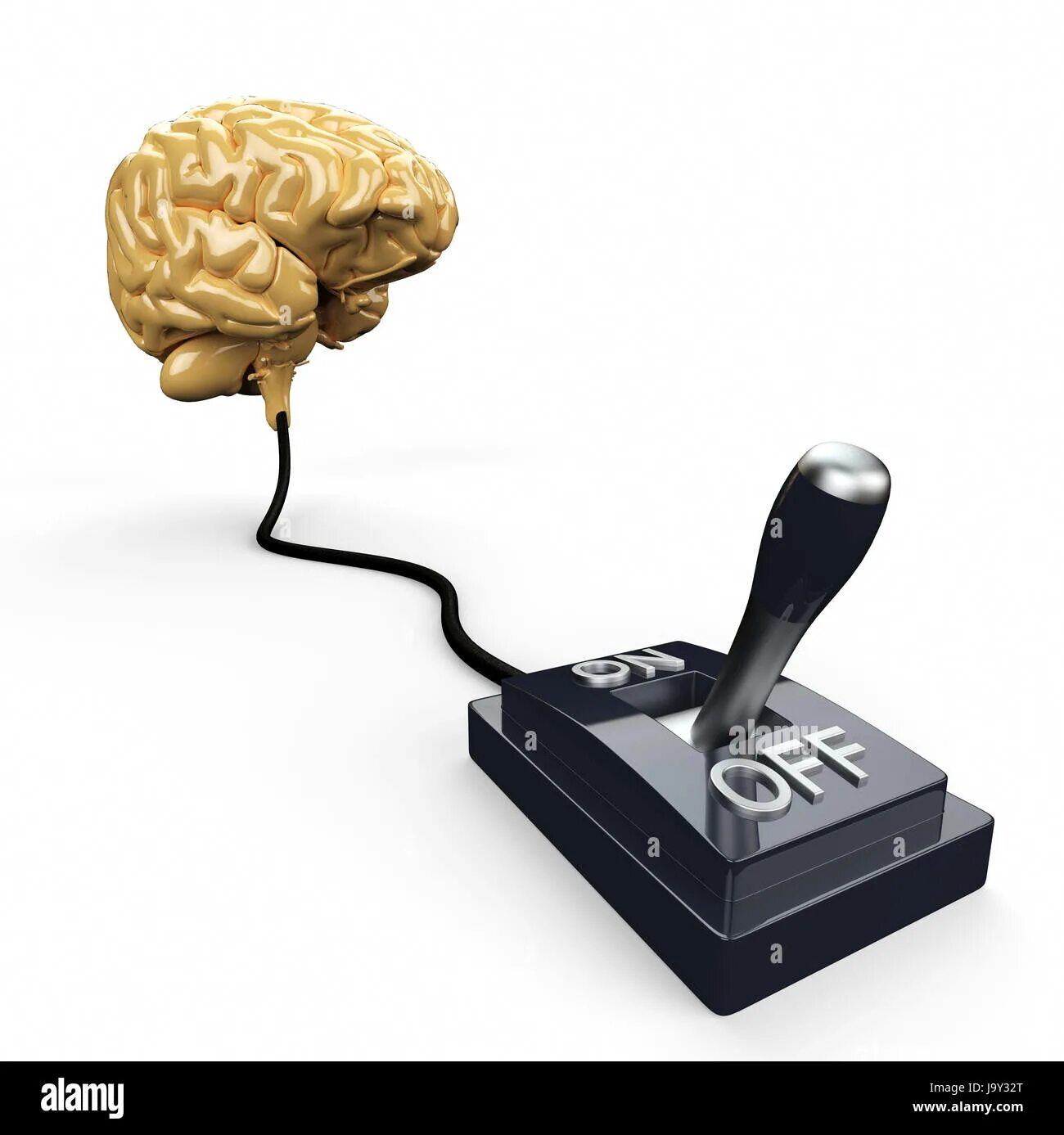 1 2 3 1 brain