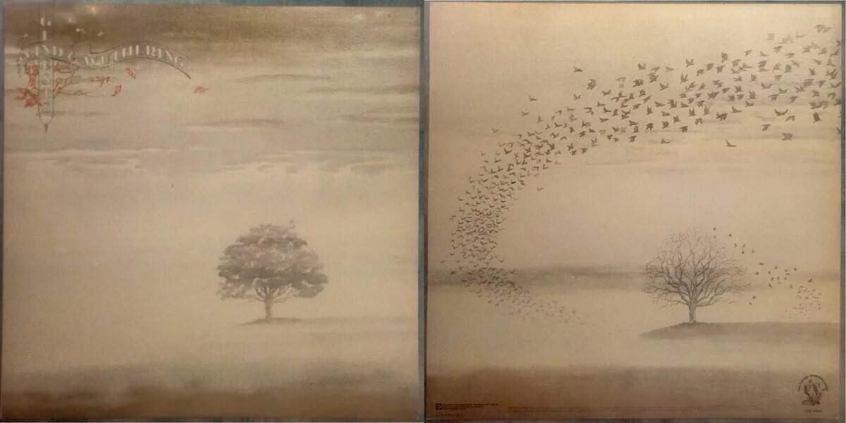 Wuthering waves 5 star echo. Genesis &quot;wind &amp; wuthering&quot;. wuthering waves гг. wuthering waves art. wutheringwaves обои.