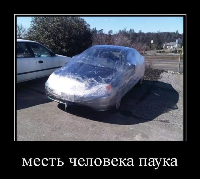 Мстя картинки