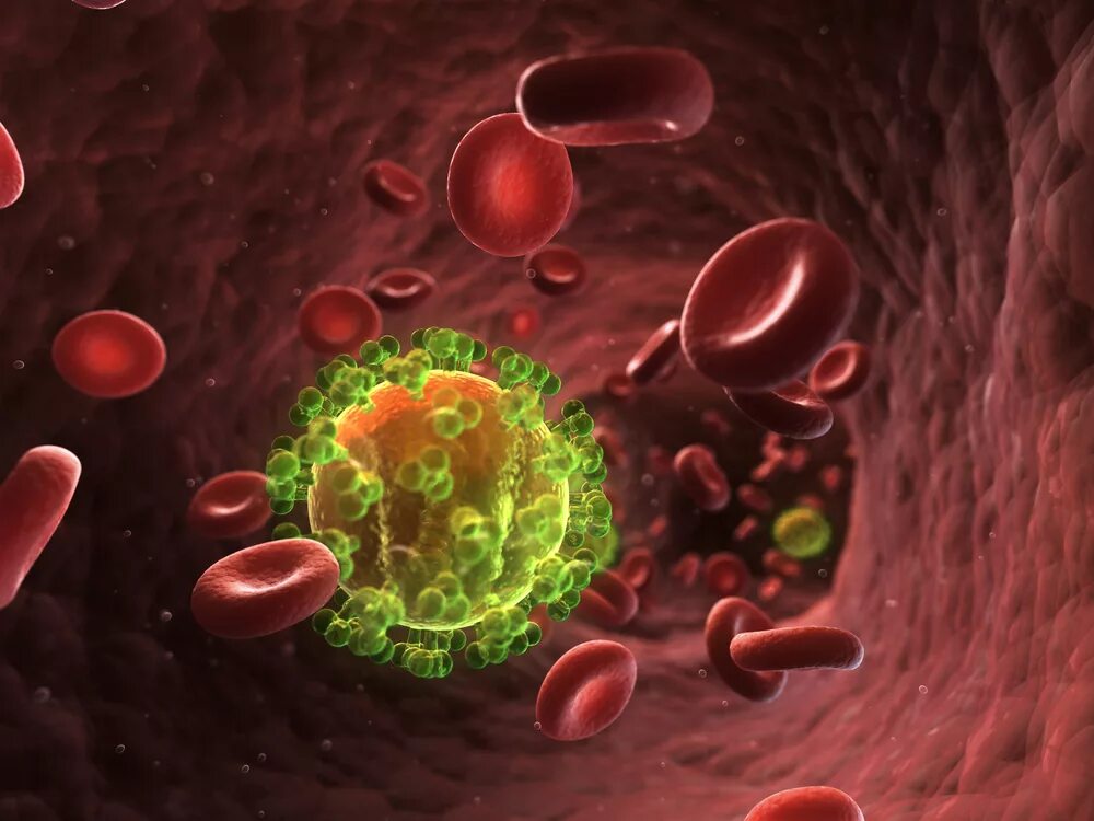 Human immunodeficiency virus. СПИД бактерия. ВИЧ бактерия. СПИД это вирусное заболевание. Вирус СПИДА фото.