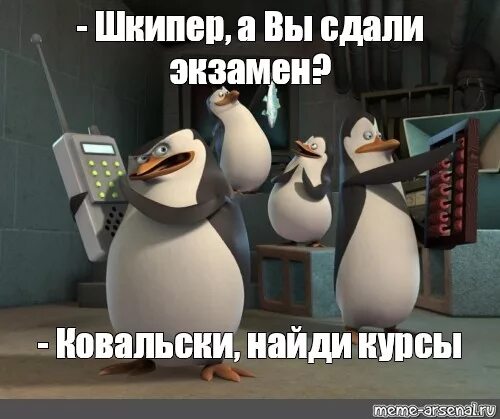 Какой овощ не любил ковальский из мадагаскара. Ковальски Пингвин. Толстый Шкипер из Мадагаскара. Пингвины из Мадагаскара толстый Шкипер. Шкипер Ковальски варианты.