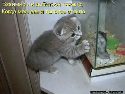 Он сказал я съем тебя