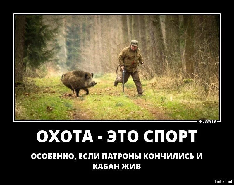 Незамеченные охотниками