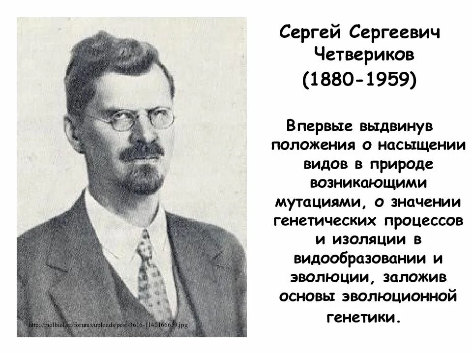 Сергеевич значение. Сергей сергеевич четвериков (1880-1959). серге́й серге́евич четверико́в. сергей сергеевич четвериков генетик. четвериков сергей сергеевич биолог генетик.