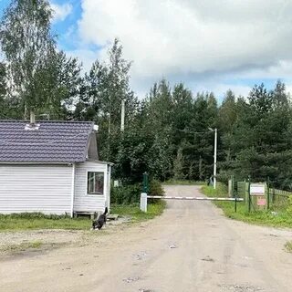 Ленинградская область садоводческое некоммерческое товарищество