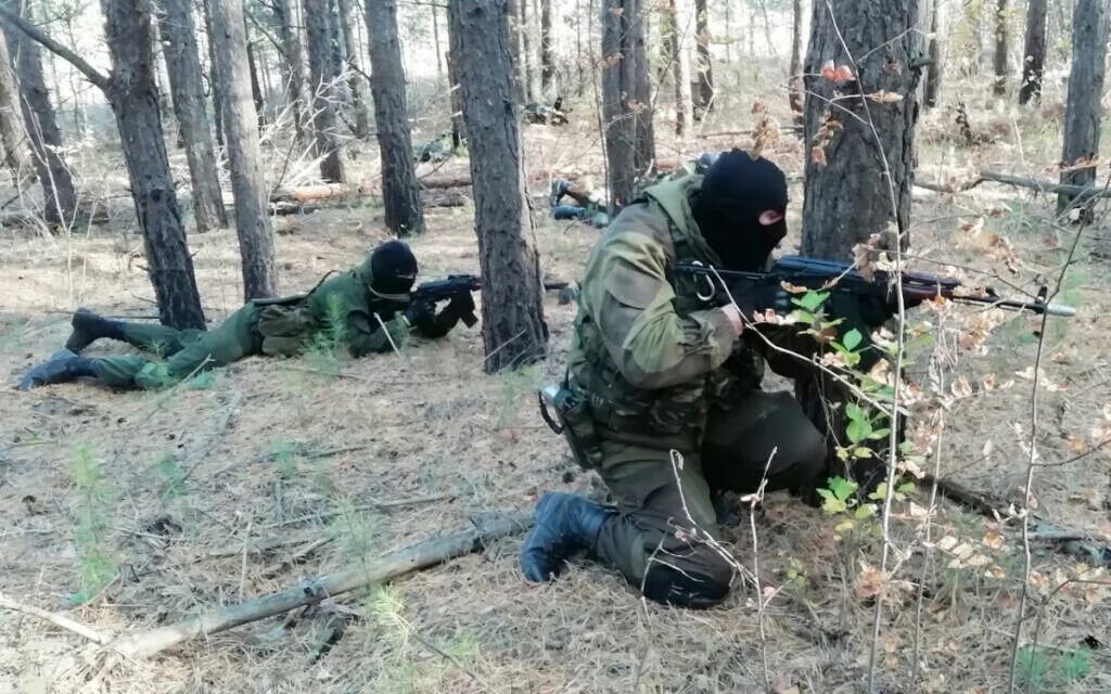 Жировские родники. Боец спецназа в лесу. Бойцы спецназа в лесах. Спецназ в полевых условиях. СОБР В лесу.