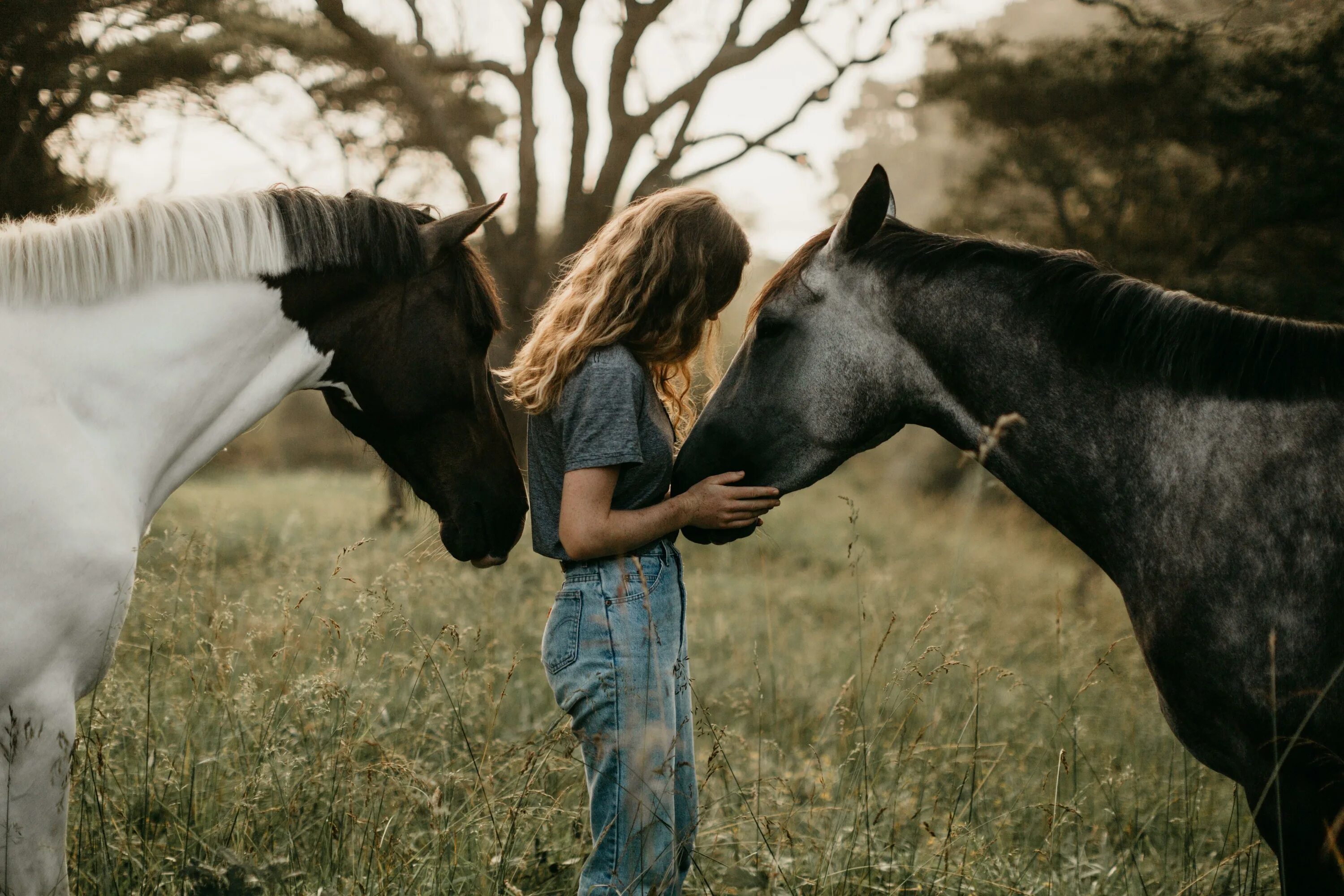 Лошадь и человек любовь