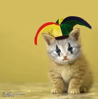 Кот клоун