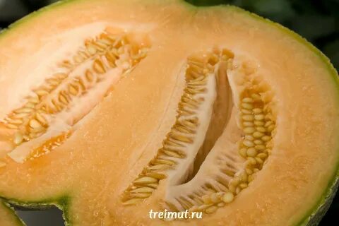 Дыня карамелька