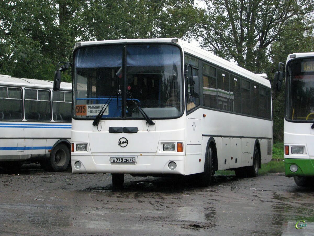 Рыбинский автобус. Автобус 505. Автобусы Рыбинск. Автобус Пошехонье Рыбинск. 505 Автобус Рыбинск.