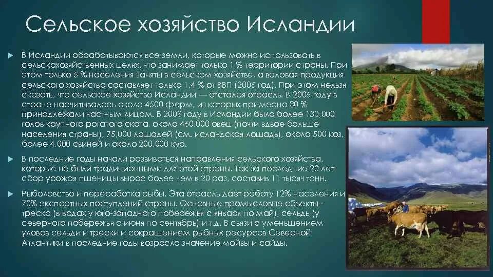 Исландия международная специализация. Характеристика сельского хозяйства. Исландия. Структура сельского хозяйства Исландии. Отрасли специализации сельского хозяйства Исландии. Особенности хозяйства Исландии.