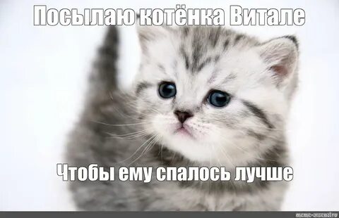 Том дурак