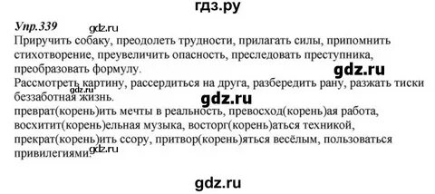 Русский упр 339