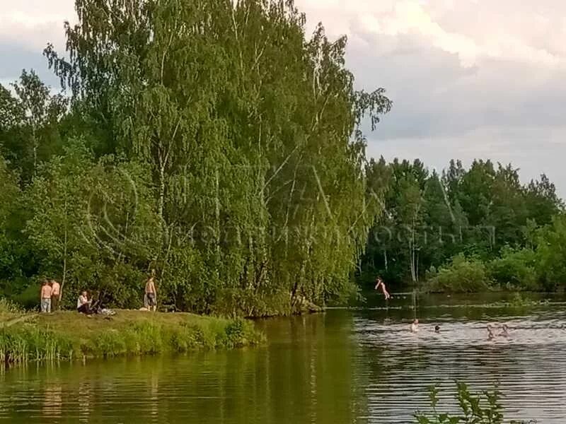 Участок никольское тосненский. Захожье озеро Юрьевское. Захожье Тосненский район. Озеро Никольское Тосненский район. Юрьевское озеро Тосненский район.