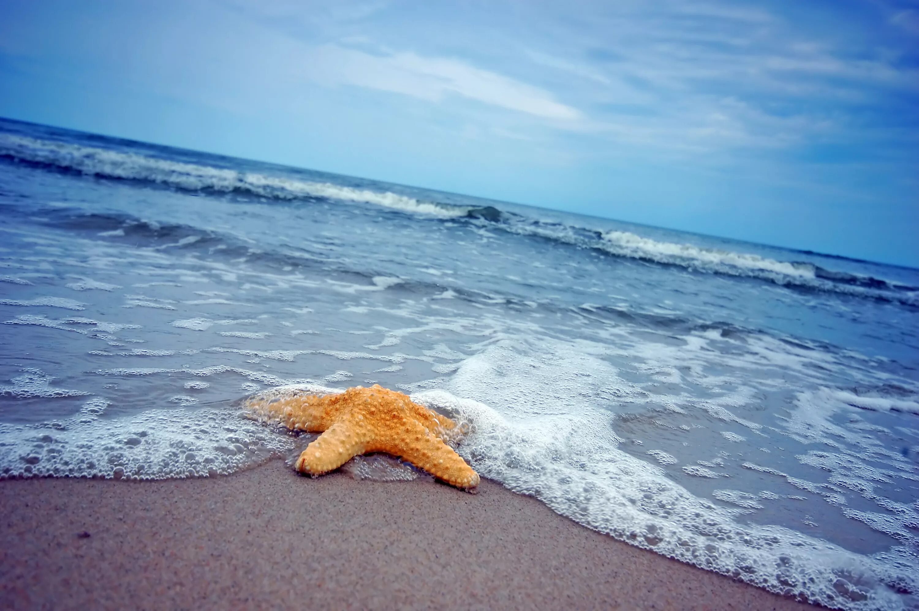 День на берегу океана. Море. Море пляж. Морская звезда. Море песок.