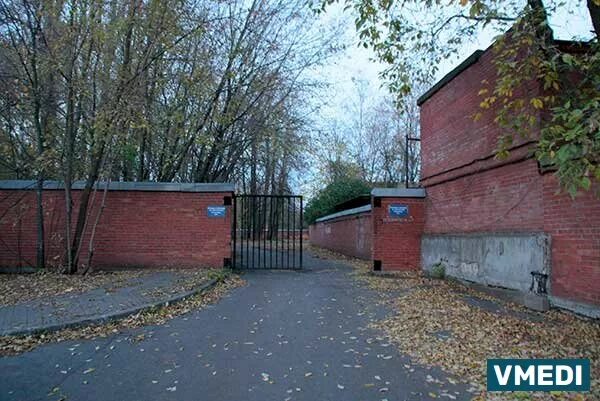 Динамо 3 больница 31. Проспект динамо 31. Городская больница 31 спб. Динамо, дом 3. Дом динамо.