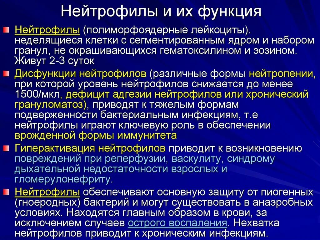 Функции нейтрофилов. Характеристика нейтрофилов. Главная функция нейтрофилов. Нейтрофилы и их функции. В очаге острого воспаления нейтрофилы секретируют