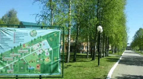 Площадка тендеров березка