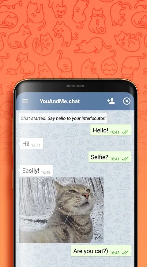 Kak chat