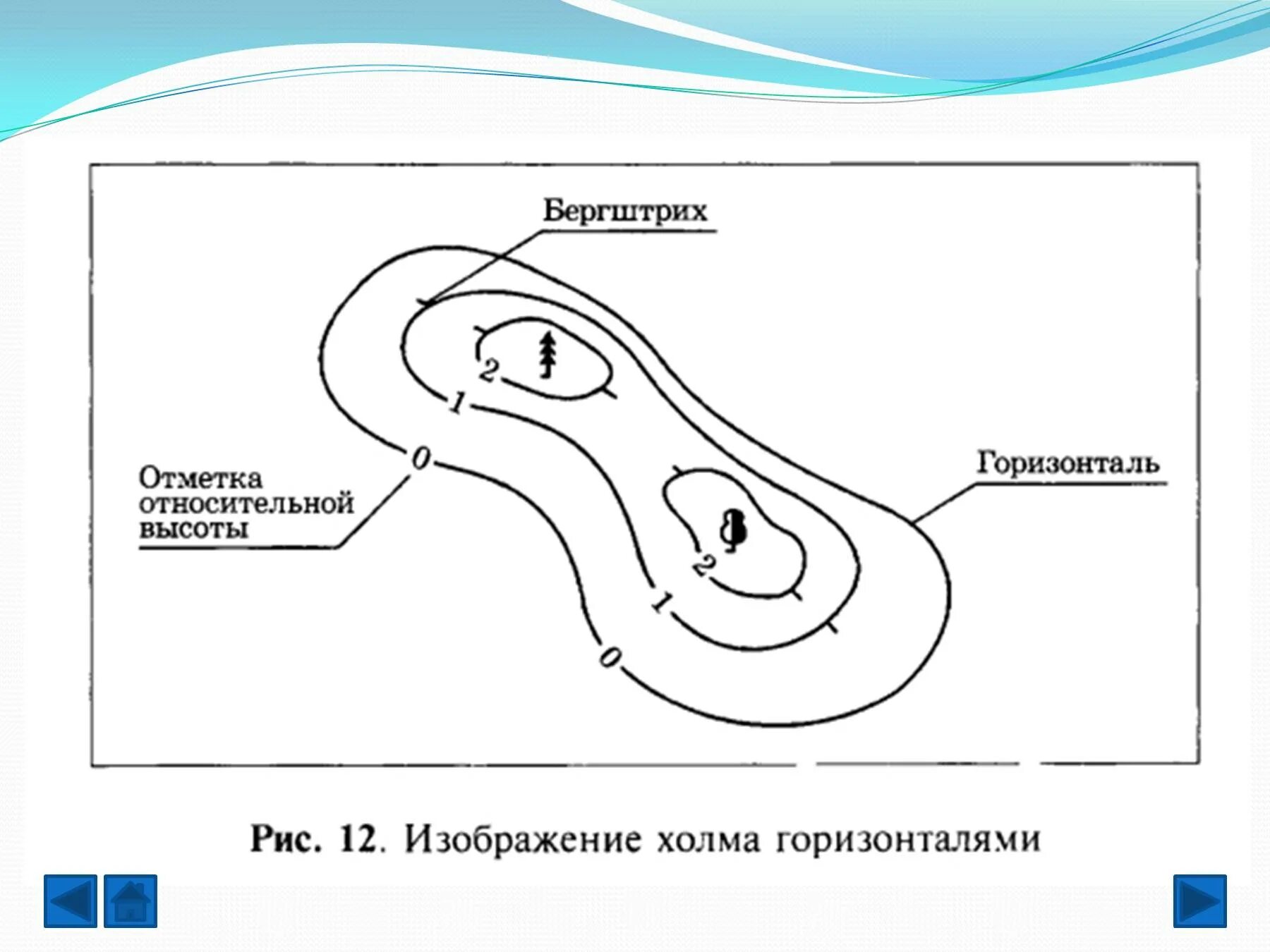 Фрагмент плана местности с изображением холма. Горизонтали на плане местности. Изображение холма горизонталями. Изображение холма с помощью горизонталей.