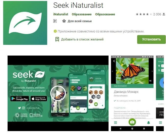 Приложение seek. INATURALIST приложение. Приложение seek by INATURALIST. Программа распознавания растений по фото для андроид на русском.