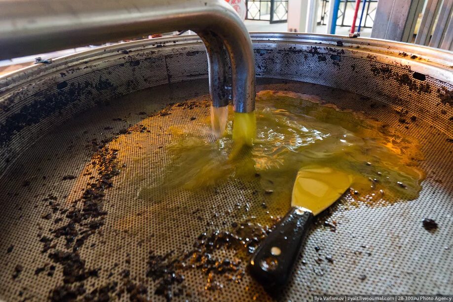 Эмульсия готовят. Масло подсолнечное. Производство оливкового масла. Отработанное подсолнечное масло. Процесс производства оливкового масла.