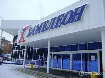 Хамелеон климовск