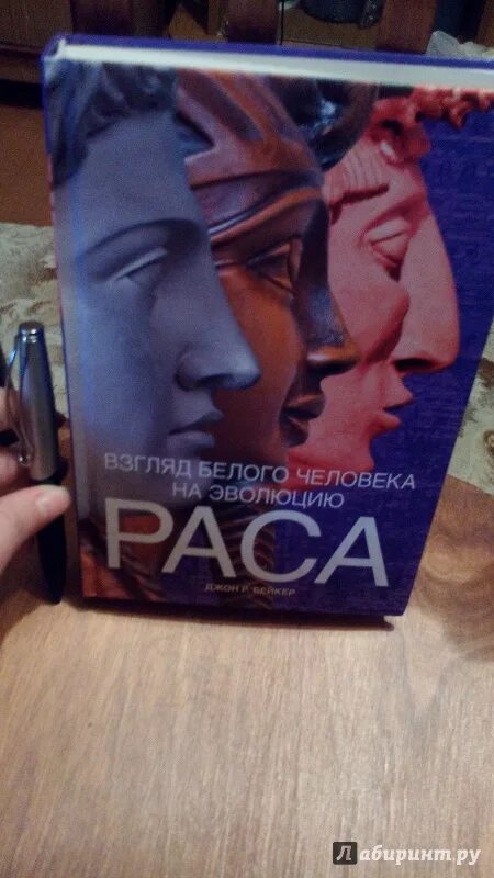 Взгляд в книгу. Взгляд книга. Книга со второго взгляда. Взгляд сквозь время. Взгляд на мир.