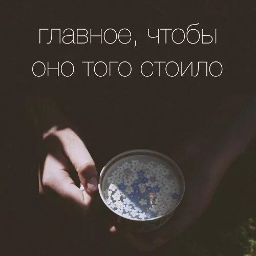 Ну это того стоило. Ценой чего ценой всего. Оно того стоило. Стоило того мем. Все собрал какой ценой.
