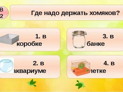 1 монета хомяка в рублях