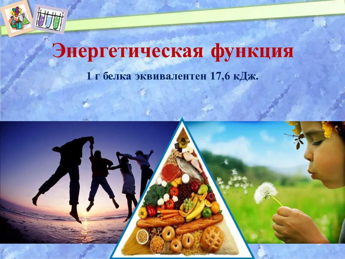 Какие белки выполняют энергетическую функцию