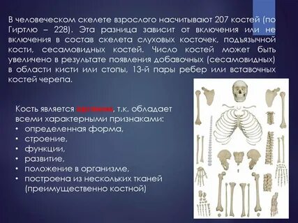 Сделайте анализ терминов по тэ osteologia pathologia