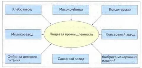 Отрасли и подотрасли производства